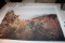 Unsigned Print Of Mountain Top Scene, 44