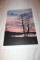 Unframed Robert Tino Print, Signed & Numbered #289 Of 950, 
