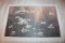 Unframed, Robert Tino Print, Signed & Numbered #677 Of 810, 