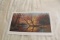 Unframed Robert Tino Print, Signed & Numbered, #580 Of 950, 