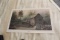 Unframed Robert Tino Print, Signed, 