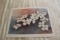 Unframed Charles A Towle Print, Signed & Numbered, #710 Of 750, 