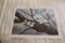 Unframed Robert Tino Print, Signed & Numbered, %31 Of 950, 