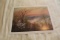 Unframed Robert Tino Print, Signed & Numbered, #47 Of 650, 