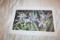 Unframed Mark E Barrett Print, Signed & Numbered, #127 Of 500, 