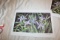 Unframed Mark E Barrett Print, Signed & Numbered, #147 Of 500, 