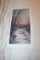 Unframed Robert Tino Print, Signed & Numbered, #622 Of 800, 