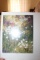 Unframed Robert Tino Print, Signed &numbered, #437 Of 650, 