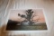 Unframed Robert Tino Print, Signed & Numbered, #459 Of 500, 