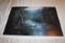 Unframed Ron Williams Print, Signed & Numbered (pencil Signed), #916 Of 150