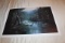 Unframed Ron Williams Print, Signed & Numbered (pencil Signed), #915 Of 150
