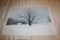 Unframed Robert Tino Print, Signed & Numbered, #659 Of 950, 