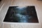 Unframed Ron Williams Print, Signed & Numbered (pencil Signed), #983 Of 150