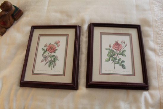 Pair Of Framed Under Glass Floral Prints, Rosa Damascena Celsiana & Rosa Ga
