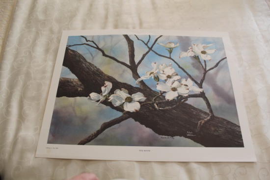 Unframed Robert Tino Print, Signed & Numbered, %31 Of 950, "full Bloom", 23