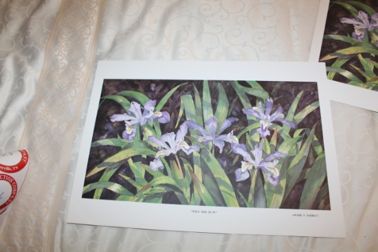 Unframed Mark E Barrett Print, Signed & Numbered, #147 Of 500, "wild Iris R