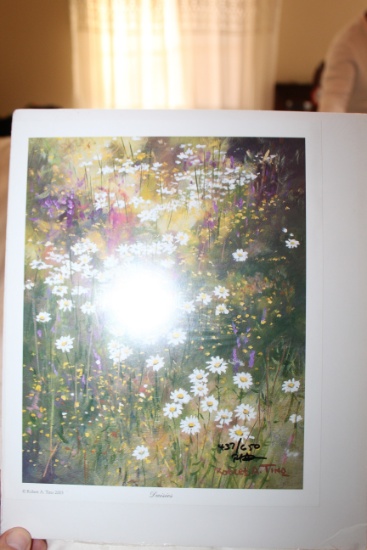 Unframed Robert Tino Print, Signed &numbered, #437 Of 650, "daisies", 9" X