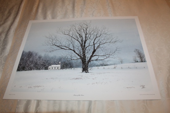 Unframed Robert Tino Print, Signed & Numbered, #659 Of 950, "peace Of The S