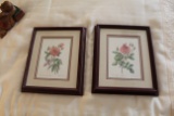 Pair Of Framed Under Glass Floral Prints, Rosa Damascena Celsiana & Rosa Ga