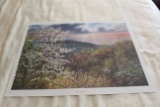 Unframed Robert Tino Print, Signed & Numbered #435 Of 950, Rites Of Spring,