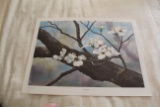 Unframed Robert Tino Print, Signed & Numbered, %31 Of 950, 