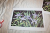 Unframed Mark E Barrett Print, Signed & Numbered, #147 Of 500, 