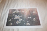 Unframed, Robert Tino Print, Signed & Numbered #11 Of 810, 