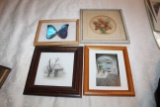 Collection Of 4 Misc. Framed Prints & Framed Butterfly