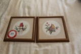 Two Framed Under Glass Bird Prints By Farolyn Shores Wright, 11.5