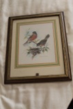 Framed Under Glass Bird Print By Paul Whitney Hunter, 13