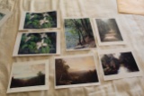 Collection Of 7 Small Ron Williams Prints, Floral Scene, Mountain & Water S