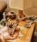 Contents Of End Table, Deer Leg Table Lamp, Decorative Bowl With Native Ame