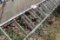 40' Aluminum Extension Ladder