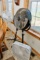 Three Pedestal Fans & One Box Fan
