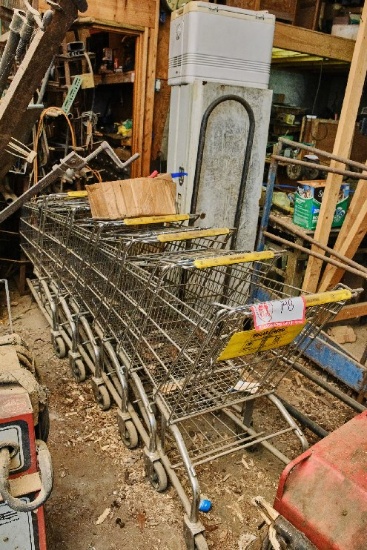 12 Shopping Carts
