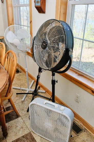 Three Pedestal Fans & One Box Fan