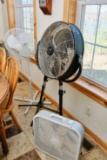 Three Pedestal Fans & One Box Fan