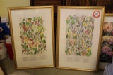 (2) Framed Prints, Wild Flowers of Alaska, Wild Berries of Alaska & (1) Flo