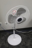 Electric Pedestal Fan