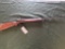 Winchester Model 62 .22 S, L, LR Pre 64
