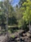 (3) Allee Elm