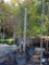 (4) Frontier Elm