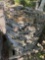 Silver Mist Stack Stone