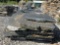 Black Regency Flagstone