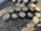 (12) Buckets Builders Sand