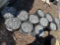(11) Buckets #57 Driveway Gravel
