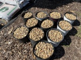 (11) Buckets Nolichucky (8 cubic ft)