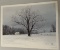 2 Robert Tino Prints, 