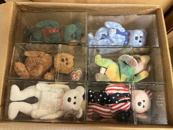 (5) Boxes of Assorted Beanie Babies (Some in Plastic Cases)