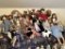 Assortment of 13 Dolls, Boys/Girls, Many with Doll Stands